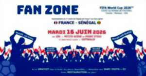 photo Fan Zone - Coupe du monde