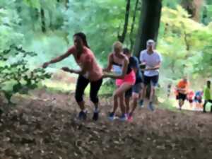 Trail des cretes d'Entrange