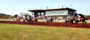 photo Visite secrète du Pôle du Cheval et de l'Âne et de l'hippodrome