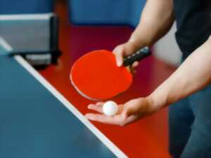 photo Tournoi national de Tennis de table
