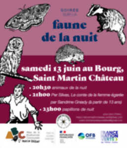photo Soirée sur la faune de la nuit