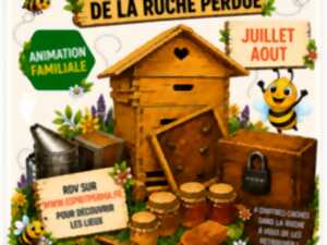 photo SOS RUCHE - A la recherche de la ruche perdue