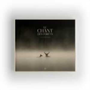 photo CINECO : LE CHANT DES FORETS