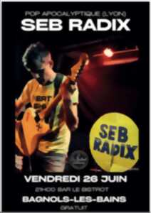 photo SOIRÉE MUSIQUE AVEC SEB RADIX