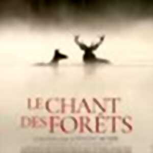 photo CINÉCO – LE CHANT DES FORÊTS