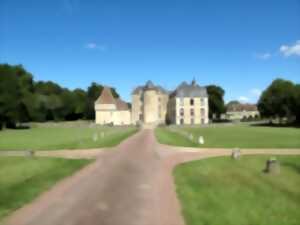 photo Boussay ses racines, et des ailes !