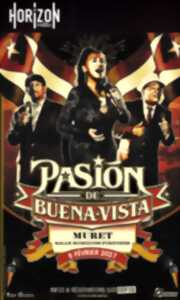 photo PASION DE BUENA VISTA