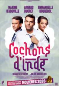 photo COCHON D'INDE