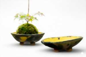 photo KOKEDAMA ET SON ÉCRIN EN CÉRAMIQUE