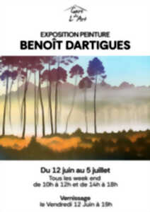 photo Exposition Benoit Dartigues