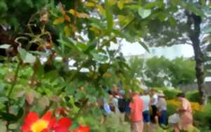photo Pause Patrimoine : les jardins acte II : le jardin botanique