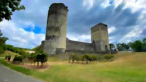 photo Visite accompagnée du Château et de sa bastide
