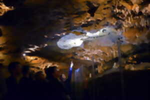 photo Percez le mystère des grottes de la Norée