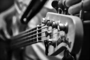 photo Fête de la musique