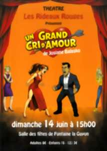 photo Théâtre : Un grand cri d'amour