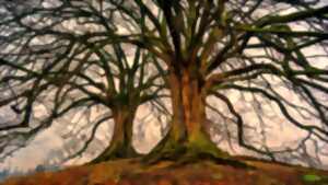 PETIT MARDI SPÉCIAL ENFANTS