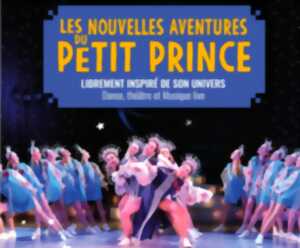photo LES NOUVELLES AVENTURES DU PETIT PRINCE