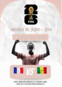 photo Diffusion du match France-Sénégal
