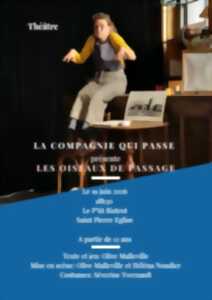 photo Spectacle - Les Oiseaux de passage