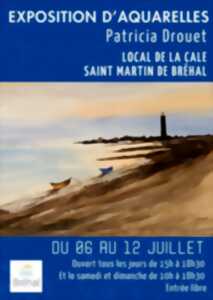 photo Aquarelles de Patricia Drouet