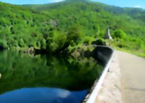 photo Balade : Les paysages du Lac d'Alfeld