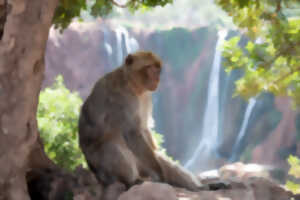 photo Semaine de la conservation