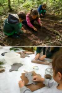 Atelier : sur la trace des dinosaures