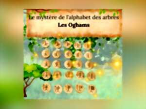 photo Les oghams : Le mystère de l'alphabet des arbres