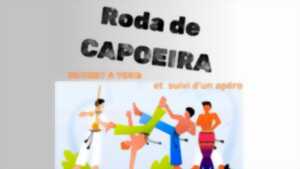 photo Démonstration de Capoeira