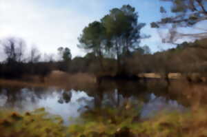 photo Balade nature - Été sur la lagune
