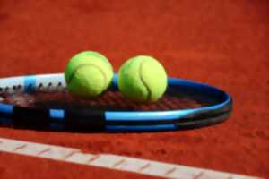 photo Tournoi d'été
