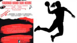photo Tournoi de Hand sur herbe
