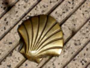 photo Vernissage : le jardin des coquilles