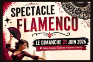 photo Spectacle Flamenco