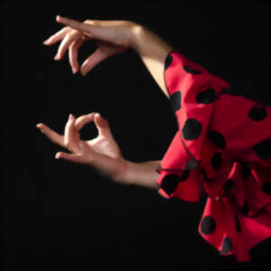 photo Danse Trio La Follia