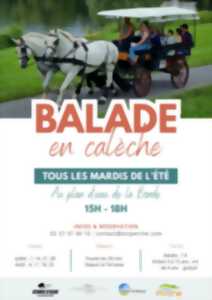 photo Balade en calèche à La Borde
