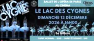photo Le Lac des Cygnes