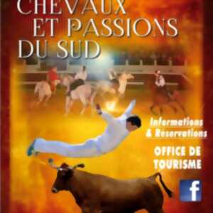 photo Chevaux et Passions du Sud
