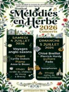 photo Festival de musique 