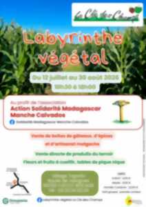 photo Exposition ludique sur Madagascar