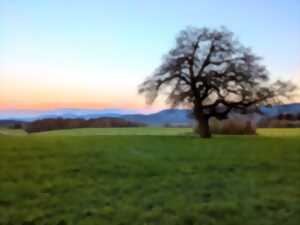 photo Le Sundgau insolite