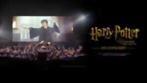 photo Harry Potter et la chambre des secrets™ en concert