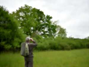 photo Sortie nature