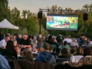 photo Ciné plein air Le Robot sauvage