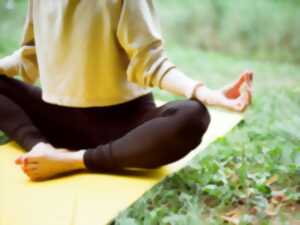 photo Cours de Yoga en plein air