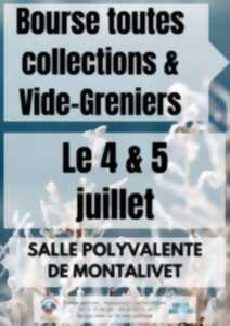 photo Bourse toutes collections et vide-greniers