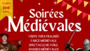 photo Visite guidée médiévale à Beaugency