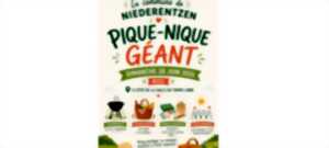 photo Pique-nique Géant