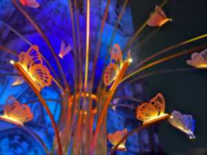 photo Rayonances - Parcours lumineux