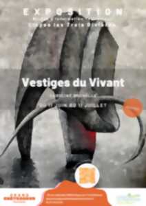 photo Exposition - Vestiges du Vivant